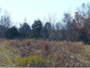 0 Garland Road, Unit 4 5 7 8 Limestone, TN 37681 - Photo 4 of 6 Photo 4