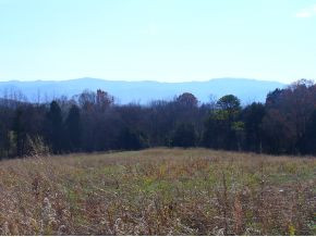 0 Garland Road, Unit 4 5 7 8 Limestone, TN 37681 - Photo 5 of 6 Photo 5