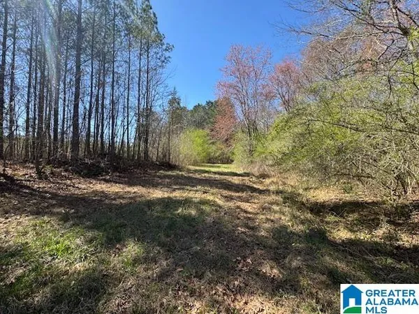 $160,000 | 26315 Highway 77, Unit TRACT 1 40 AC, Wadley, AL 36276