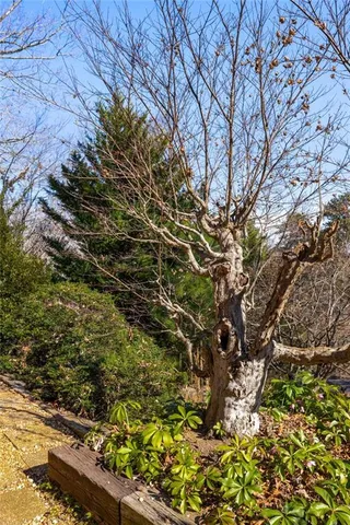 $775,000 | 120 Overlook Drive, Gainesville, GA 30506