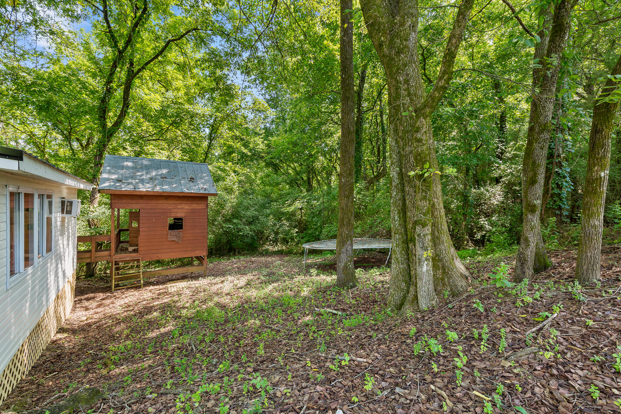 1311 Slygo Road Trenton, GA 30752 - Photo 23 of 30 Slygo-33