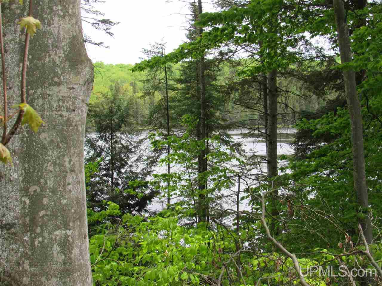 Tbd Co Rd 442, Unit 4 Rapid River, MI 49878 - Photo 7 of 10