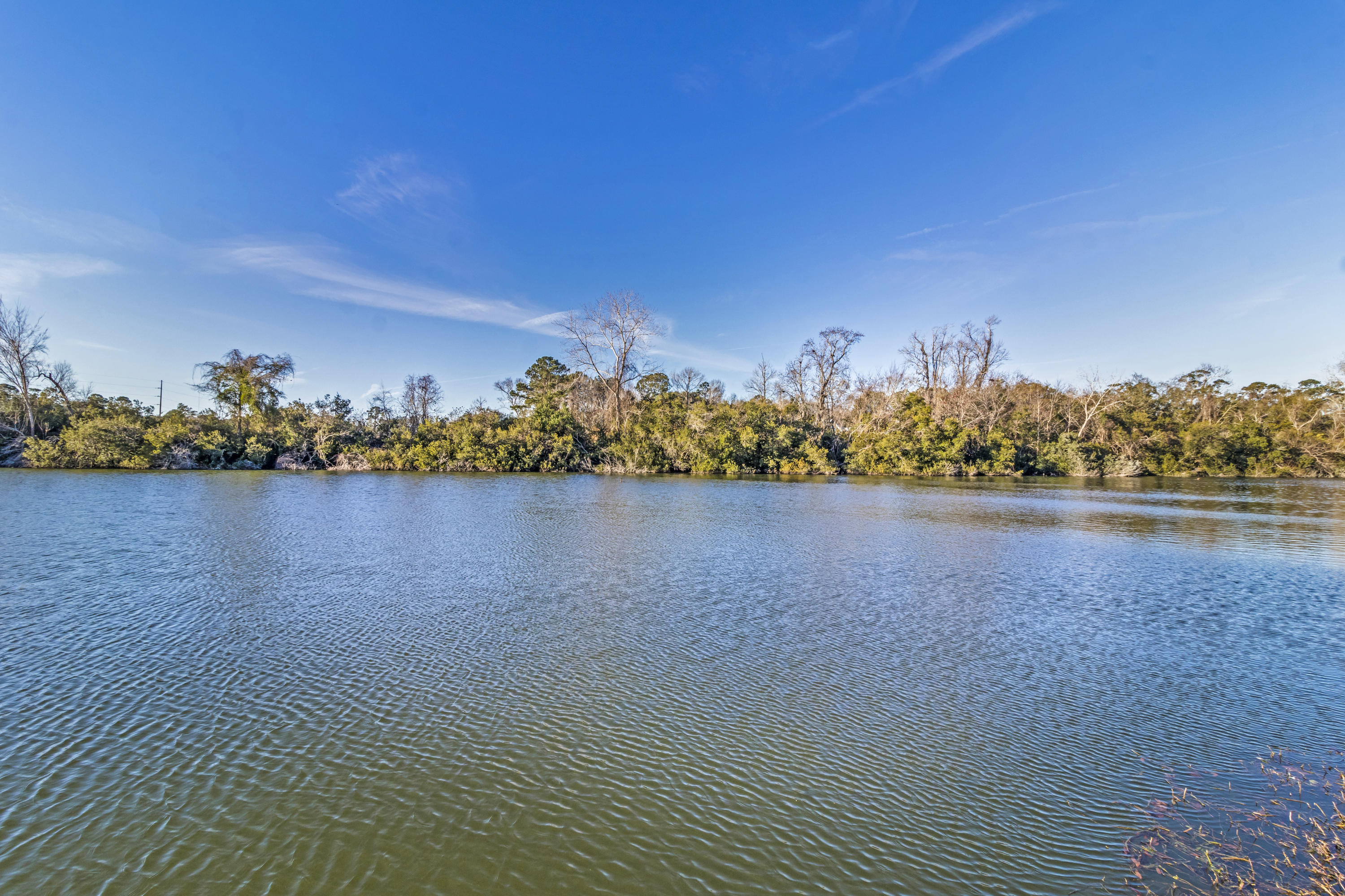 1397 Royston Road Mount Pleasant, SC 29464 - Photo 42 of 58 10
