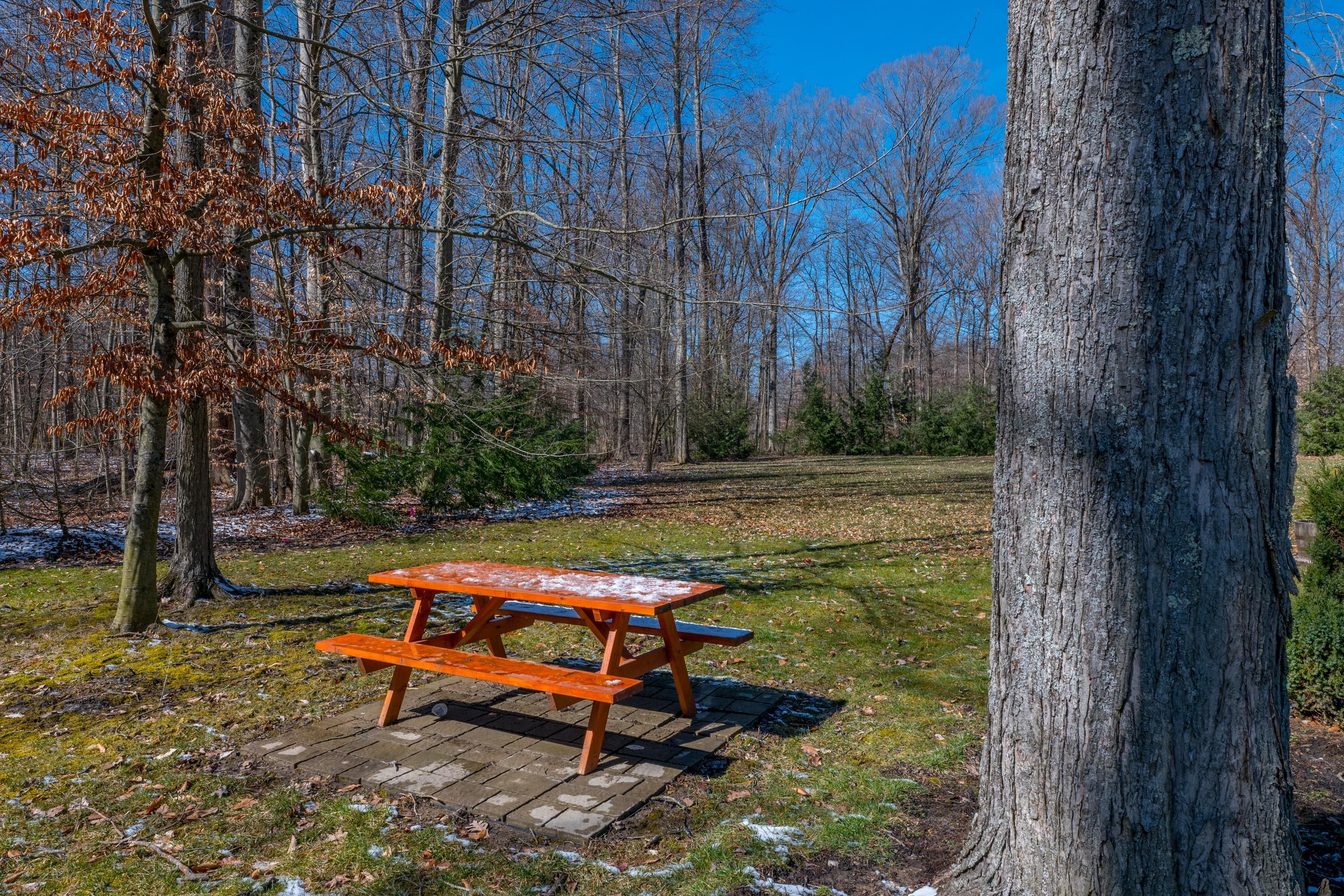 3680 South Three B's & K Road Galena, OH 43021 - Photo 80 of 81 Beautiful wooded back acreage