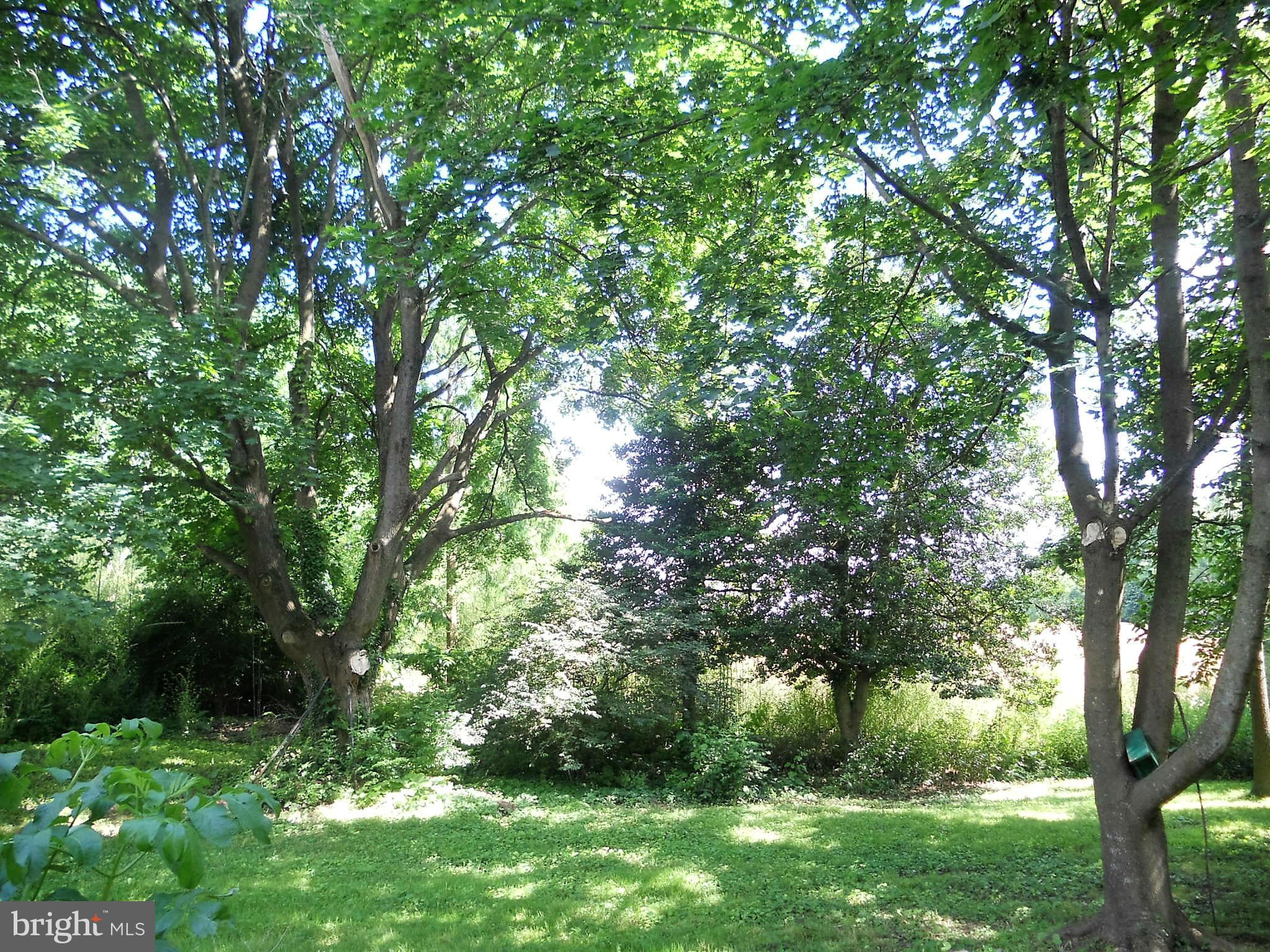 3349 Uniontown Road Westminster, MD 21158 - Photo 18 of 25 Variety of shade trees