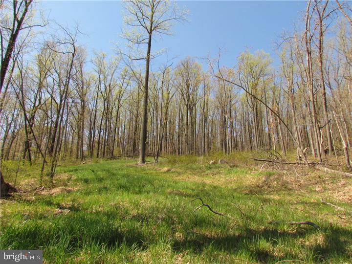 2285 Springtown Hill Road Hellertown, PA 18055 - Photo 1 of 2