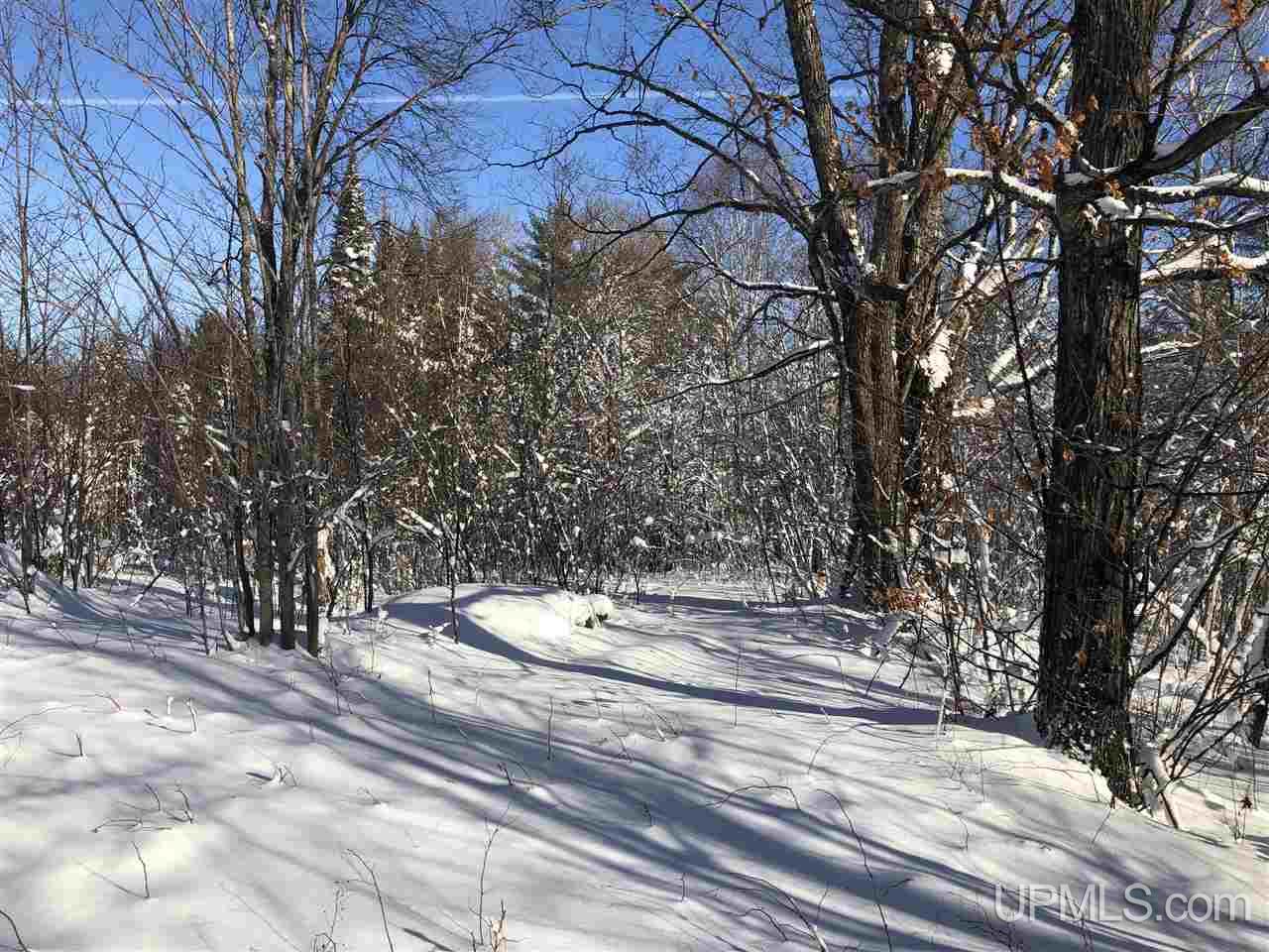 4007 Deer Lake Road Ishpeming, MI 49849 - Photo 9 of 36