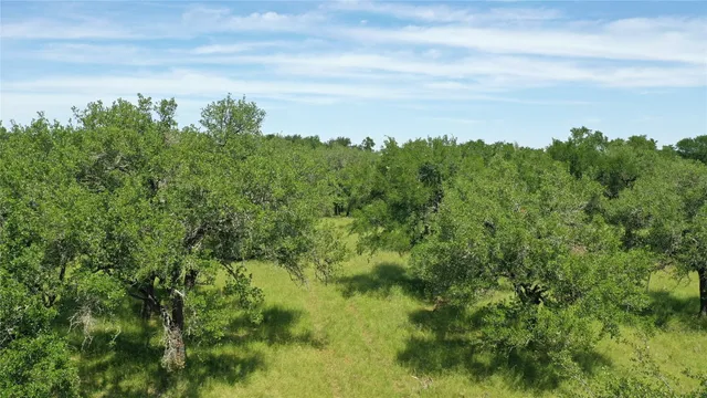 $950,000 | 3215 County Road 305, Jarrell, TX 76537