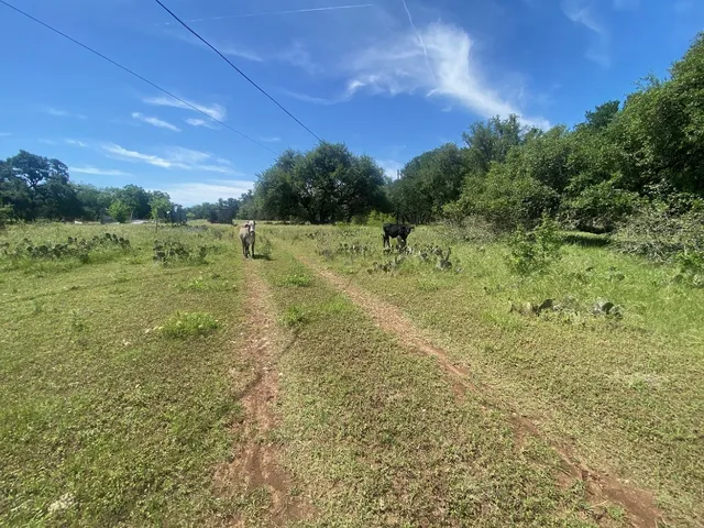 $950,000 | 3215 County Road 305, Jarrell, TX 76537