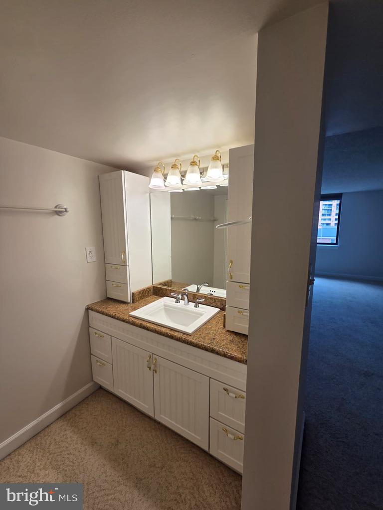 3800 Fairfax Drive, Unit 104 Arlington, VA 22203 - Photo 13 of 14 One en-suite bath in the largert BR