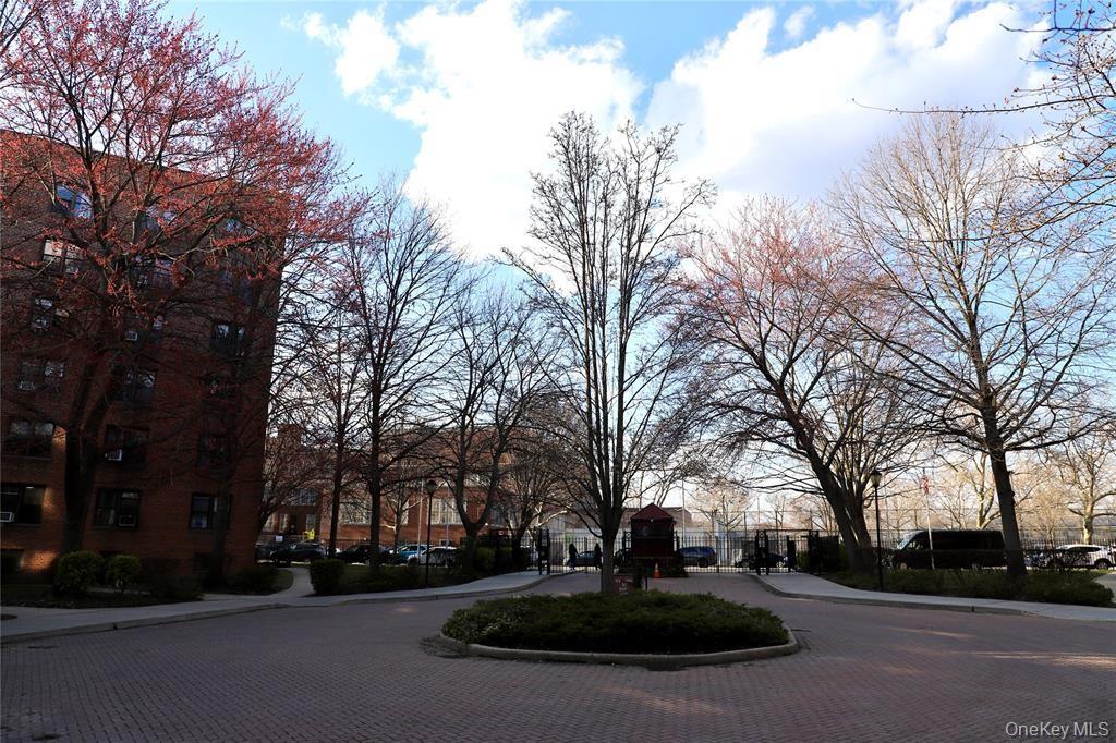 150-29 72nd Road, Unit 5C Queens, NY 11367 - Photo 28 of 34 a park view of large trees