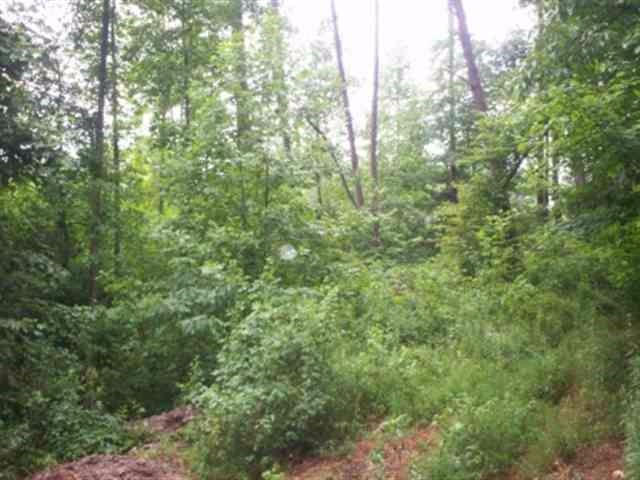 Lot 8 Mt Pleasant Road Vonore, TN 37885 - Photo 2 of 12 2