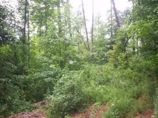 Lot 8 Mt Pleasant Road Vonore, TN 37885 - Photo 12 of 12 12