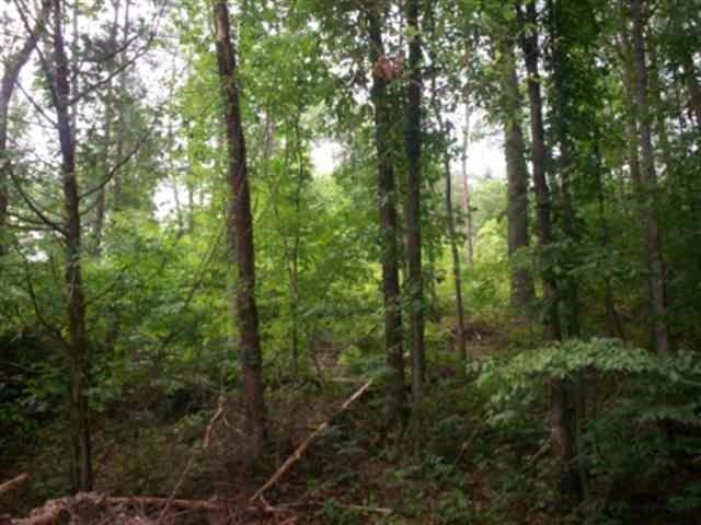 Lot 8 Mt Pleasant Road Vonore, TN 37885 - Photo 3 of 12 3