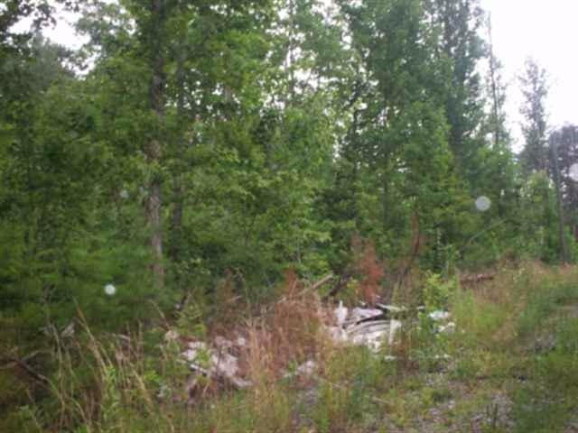 Lot 8 Mt Pleasant Road Vonore, TN 37885 - Photo 5 of 12 5