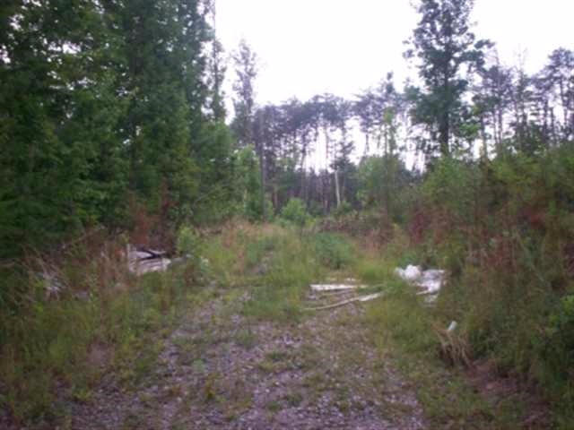 Lot 8 Mt Pleasant Road Vonore, TN 37885 - Photo 6 of 12 6
