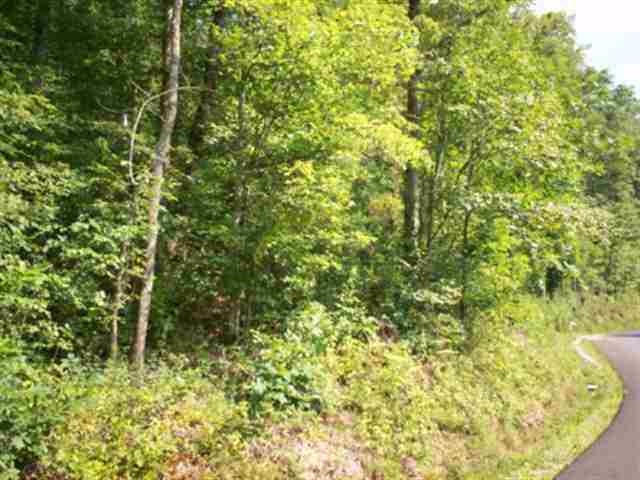 Lot 8 Mt Pleasant Road Vonore, TN 37885 - Photo 8 of 12 8
