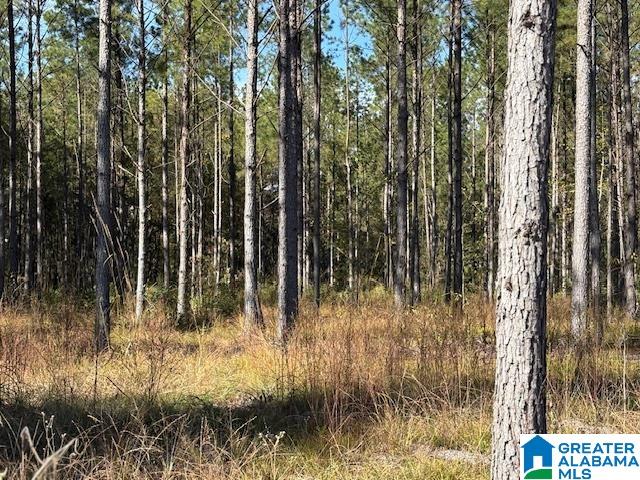 231 Us Highway Mathews, AL 36052 - Photo 15 of 22