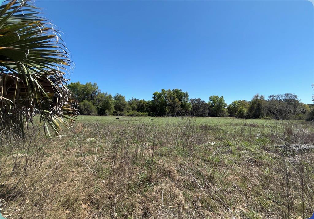 9844 Poe Street Leesburg, FL 34788 - Photo 15 of 32 a view of a yard