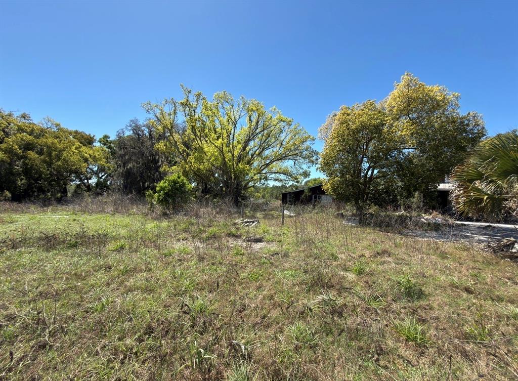 9844 Poe Street Leesburg, FL 34788 - Photo 2 of 32 a view of a yard