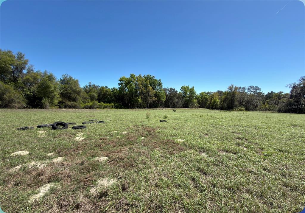 9844 Poe Street Leesburg, FL 34788 - Photo 23 of 32 a view of a green field with trees in the background