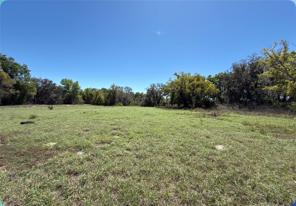 9844 Poe Street Leesburg, FL 34788 - Photo 24 of 32 a view of a green field with trees in the background