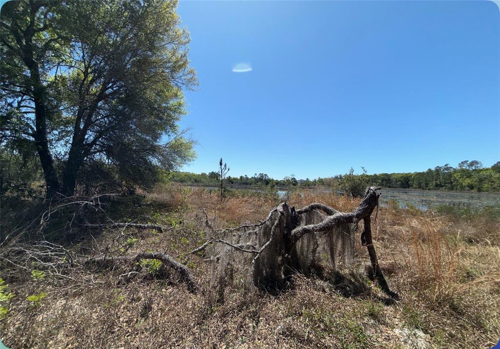 9844 Poe Street Leesburg, FL 34788 - Photo 26 of 32 a view of a lake with a mountain