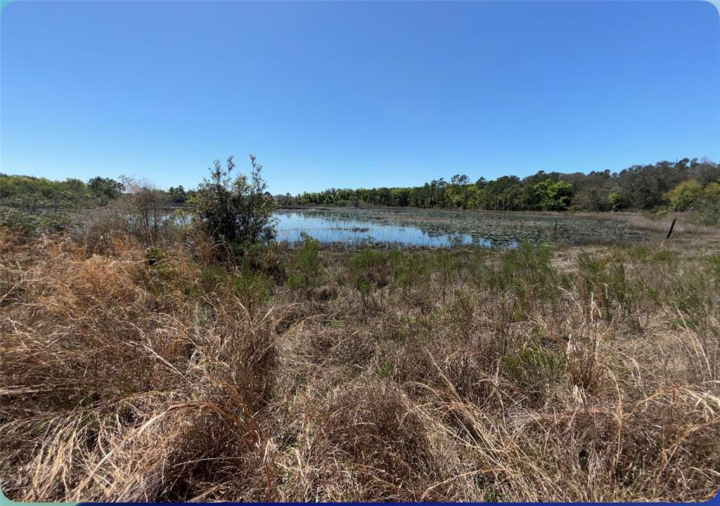 9844 Poe Street Leesburg, FL 34788 - Photo 27 of 32 a view of lake with mountain