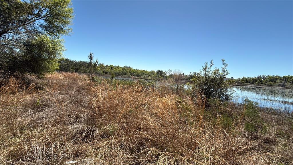 9844 Poe Street Leesburg, FL 34788 - Photo 10 of 32 a view of a lake in middle of forest