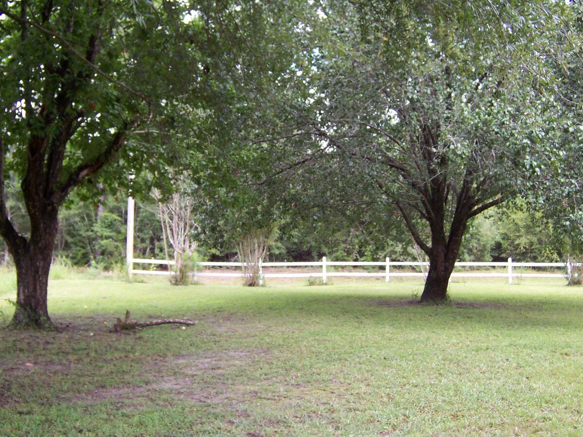 1960 Yorkey Road Westville, FL 32464 - Photo 43 of 64 100_7714