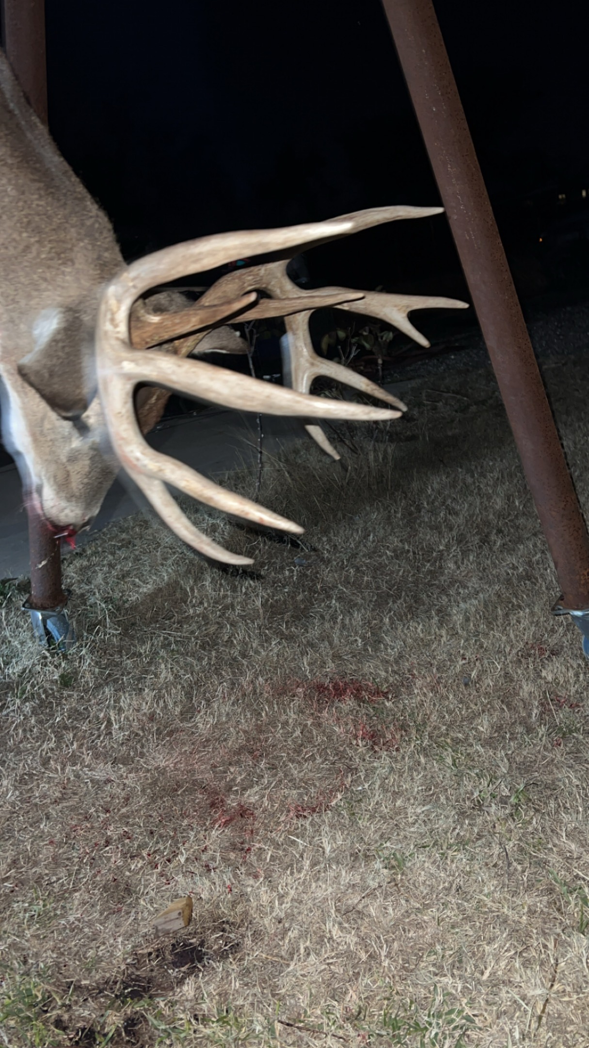 450 County Road 450 Rocksprings, TX 78880 - Photo 16 of 22 a view of outdoor space