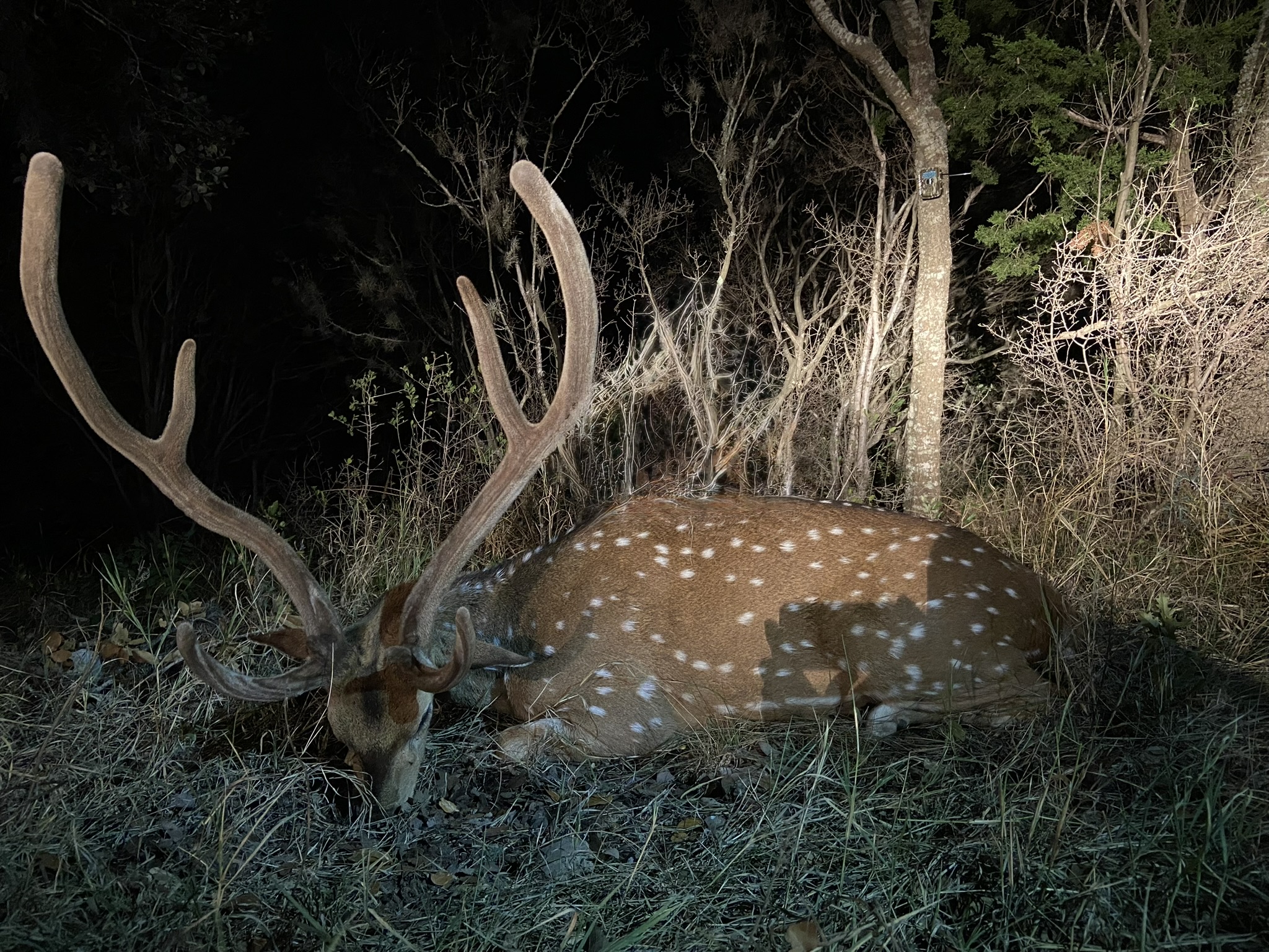 450 County Road 450 Rocksprings, TX 78880 - Photo 17 of 22 a view of under construction area