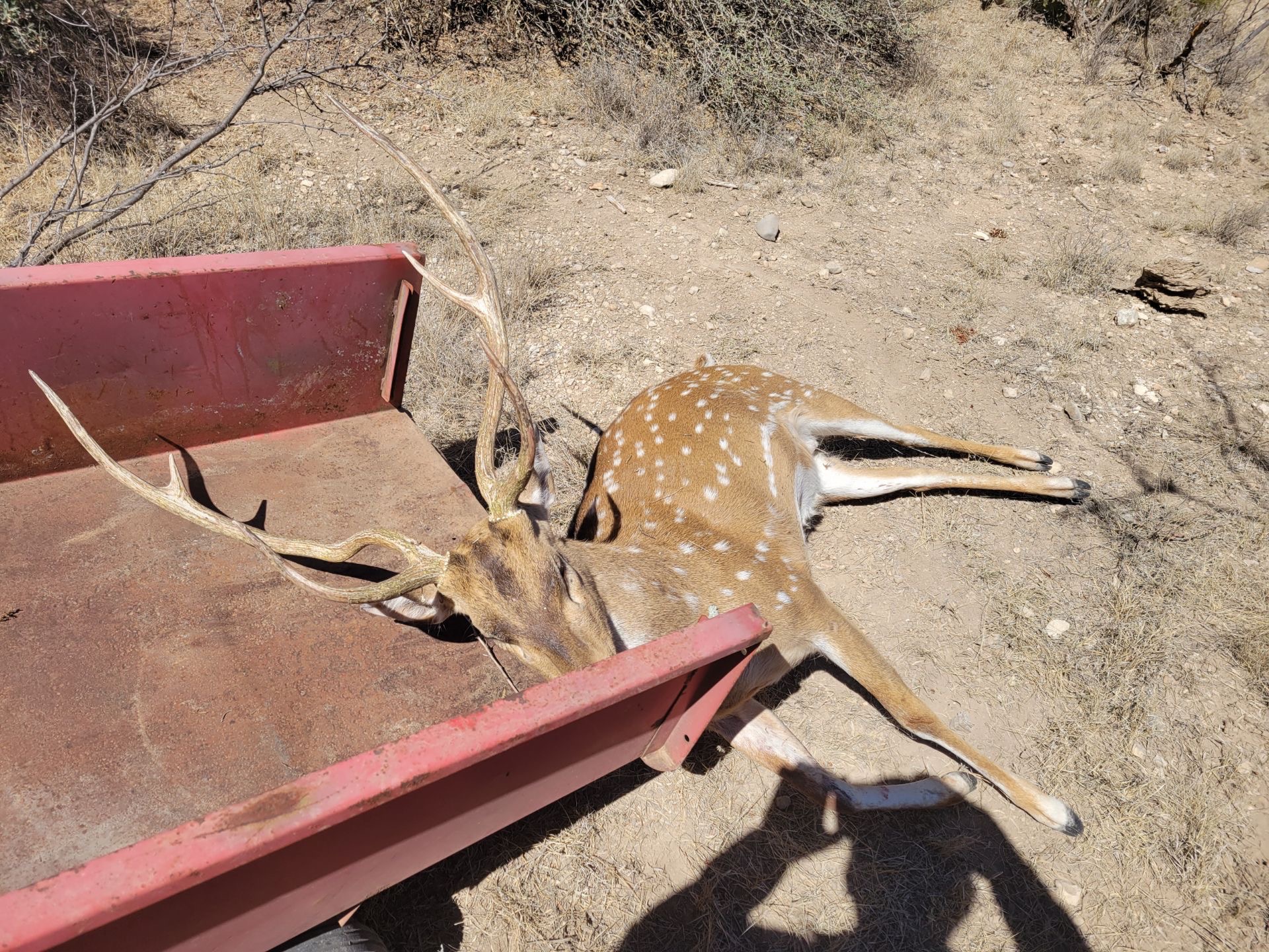 450 County Road 450 Rocksprings, TX 78880 - Photo 19 of 22 a view of wooden floor