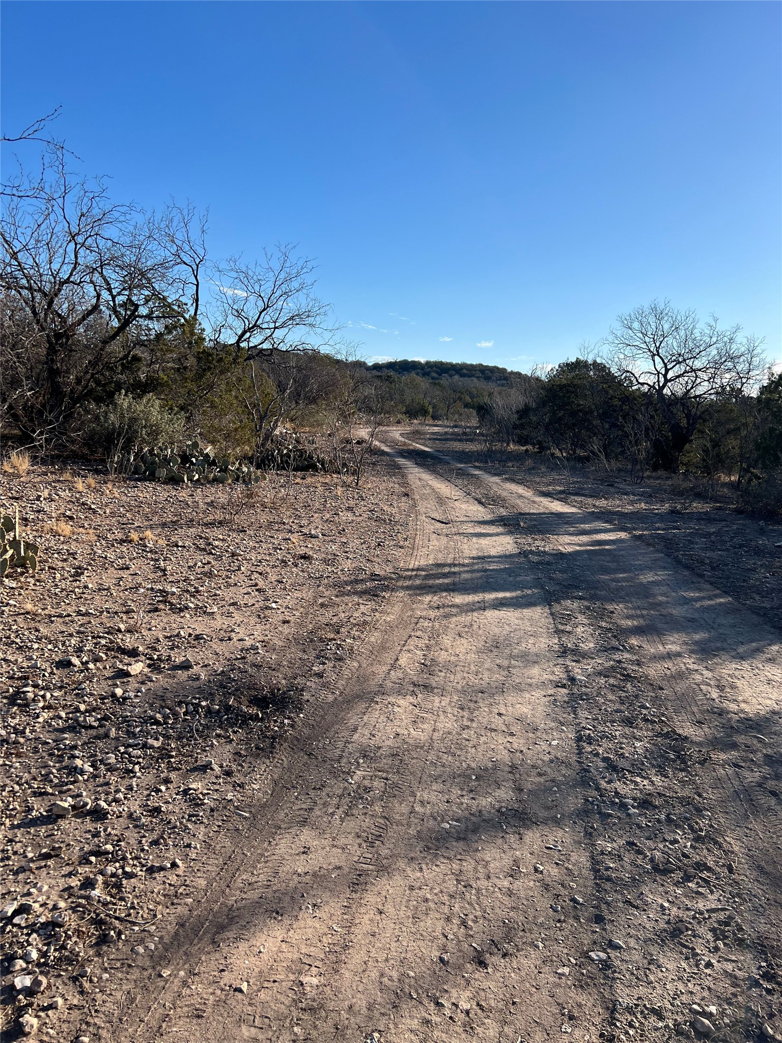 450 County Road 450 Rocksprings, TX 78880 - Photo 6 of 22 a view of ocean view with mountain