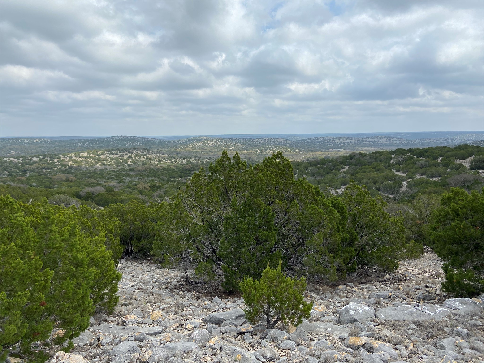 450 County Road 450 Rocksprings, TX 78880 - Photo 7 of 22 a view of a pathway both side of a road