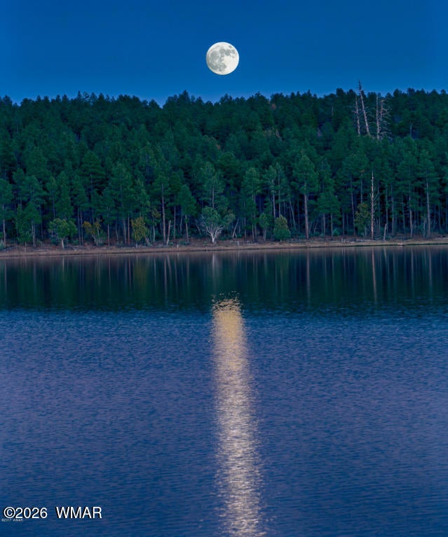 676 West Rim Road Pinetop, AZ 85935 - Photo 41 of 55 Gallery Image 41