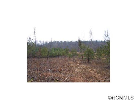 Lot 2 Bridge Lane, Unit 2 Tryon, NC 28782 - Photo 1 of 4