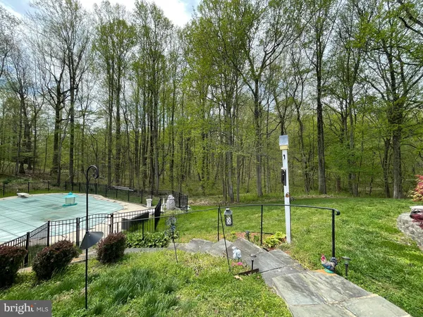 a view of a park with large trees
