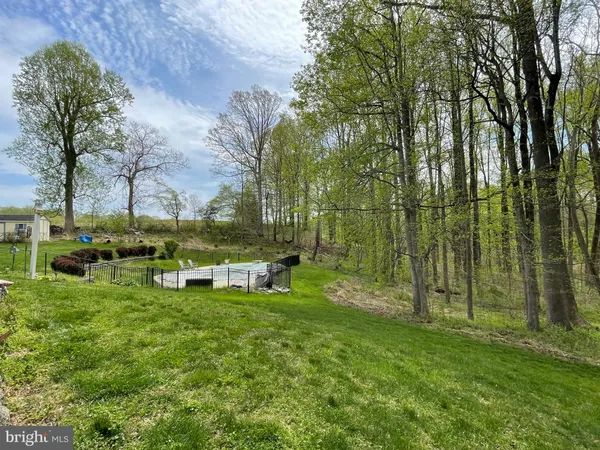 a view of garden