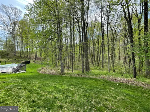 a view of park
