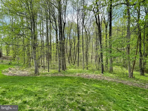 a green field with lots of trees