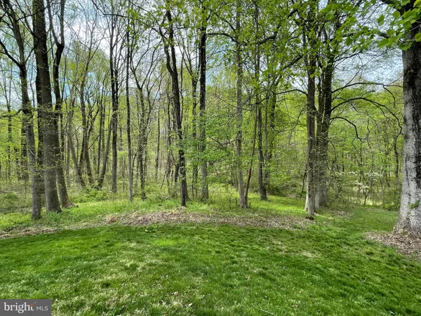 a big yard with lots of green space and trees