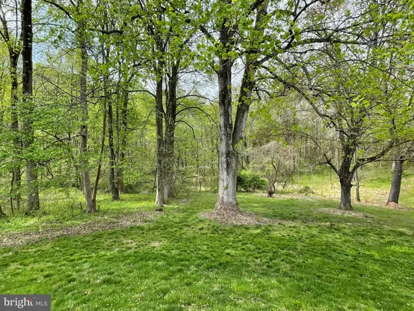 a view of yard with green space