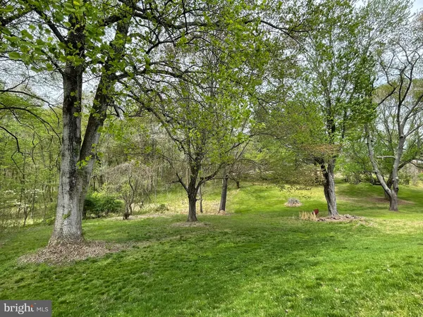 a huge green field with lots of trees