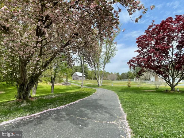 a view of a park with large trees