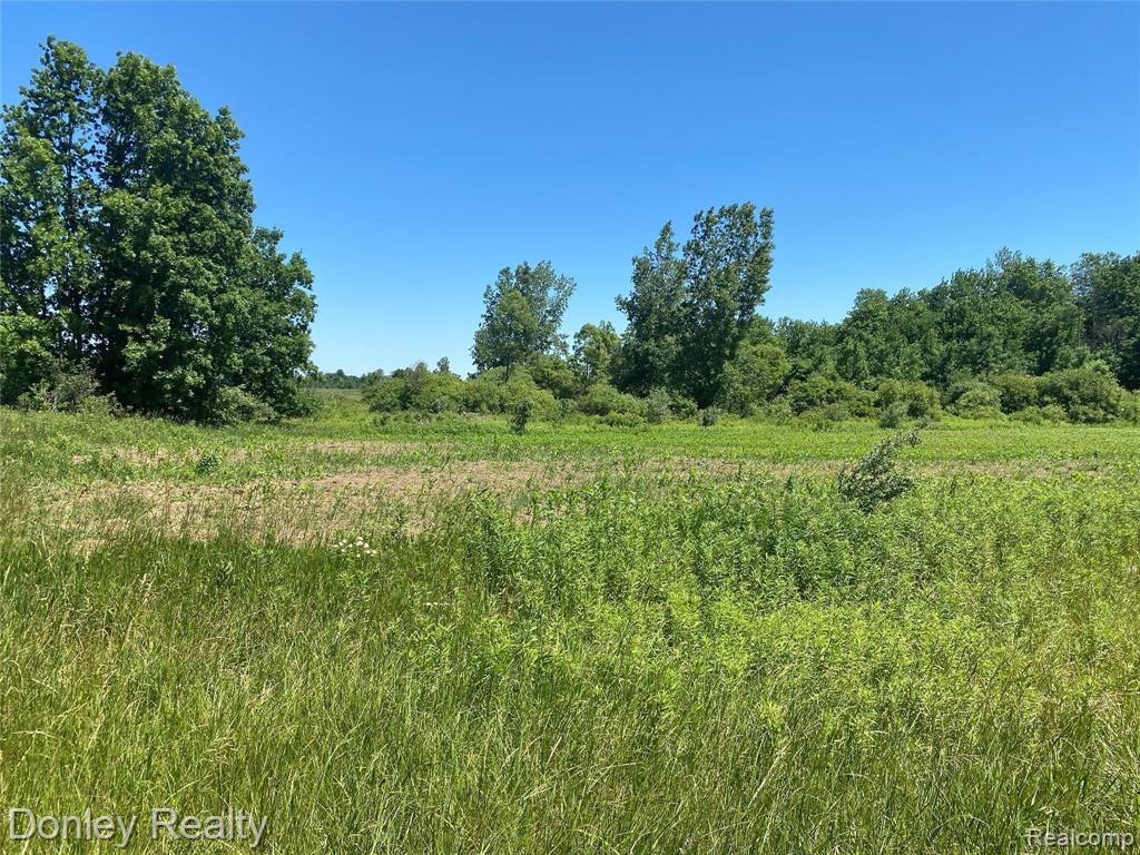 Parcel G Parcel G Bailey Road Brown City, MI 48416 - Photo 1 of 1