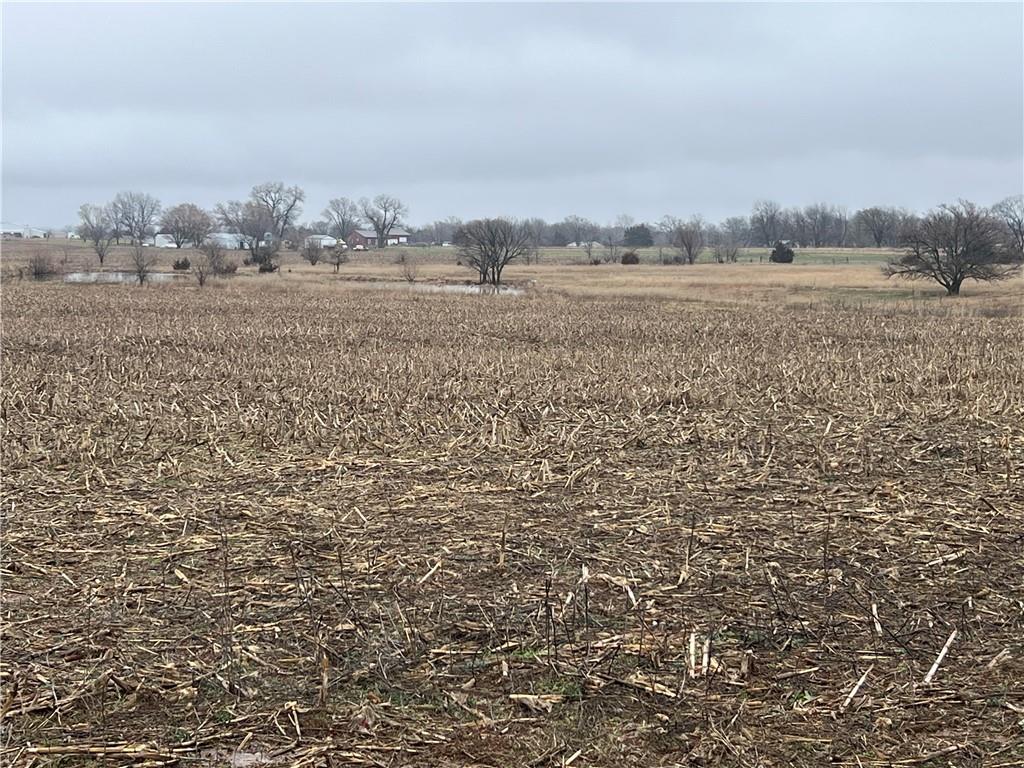 0 West 1300 Road Welda, KS 66091 - Photo 2 of 4