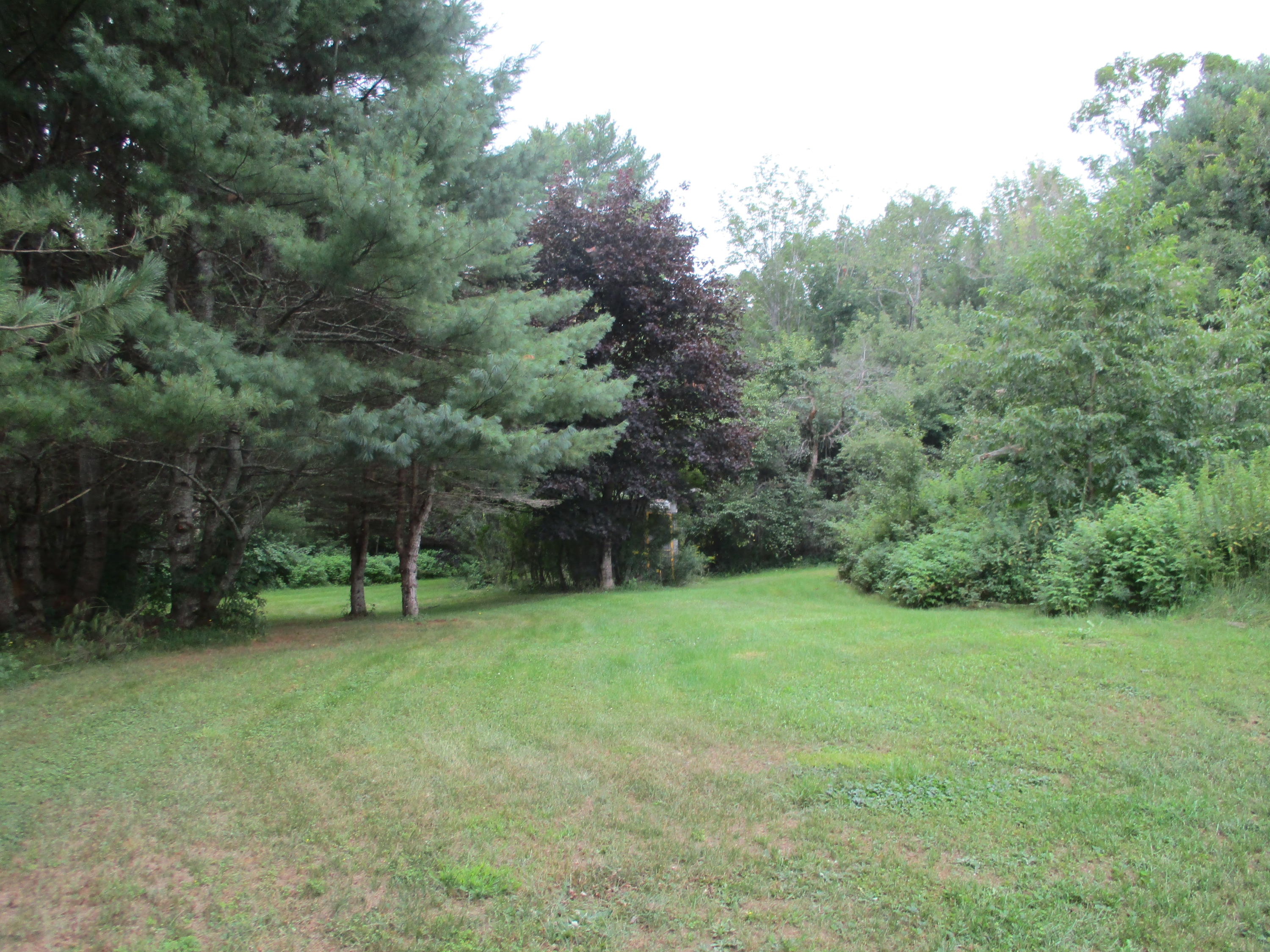 772 Rome Road Mercer, ME 04957 - Photo 8 of 46 back right of home
