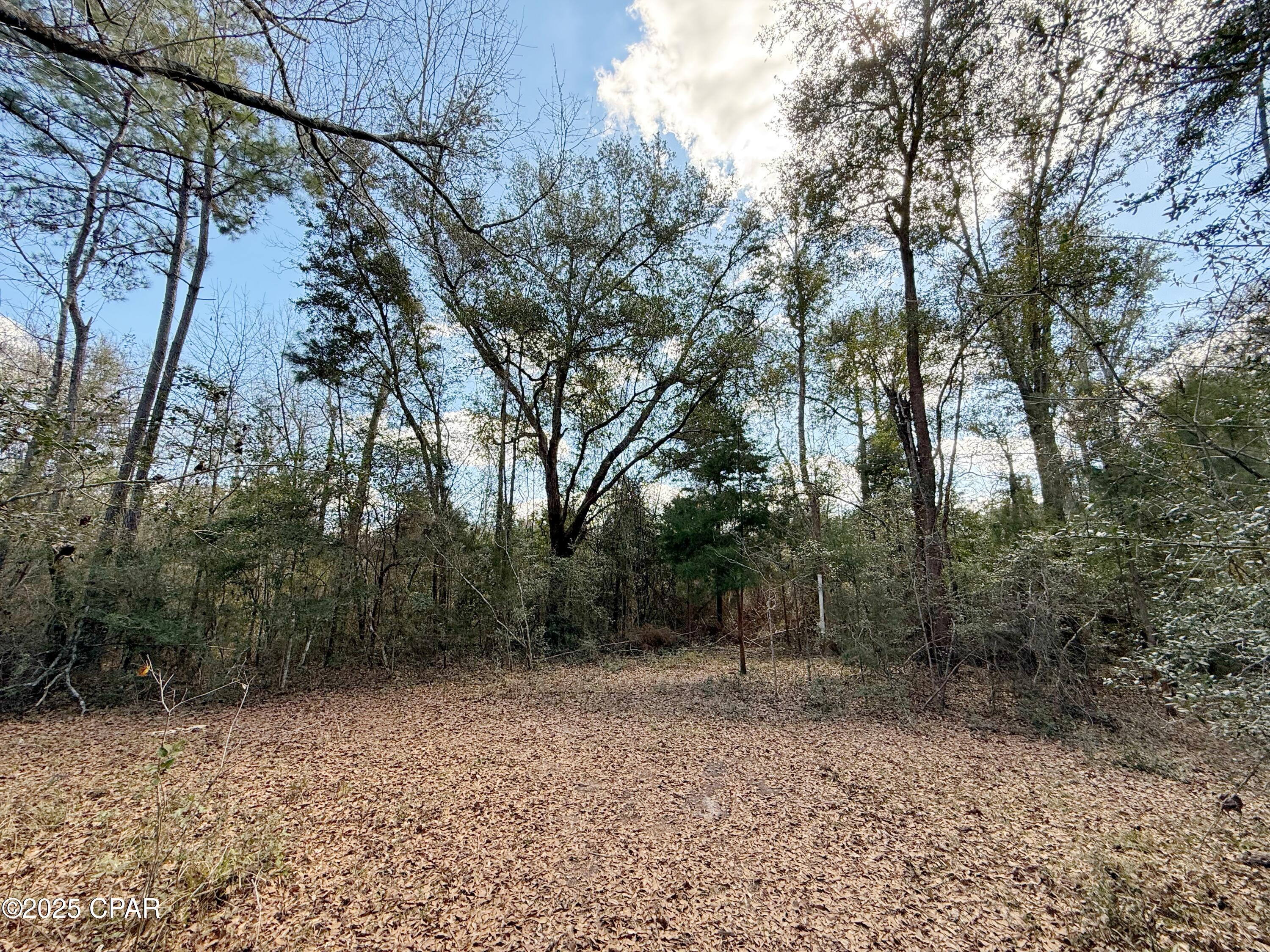 0 Lovewood Road Marianna, FL 32446 - Photo 11 of 12