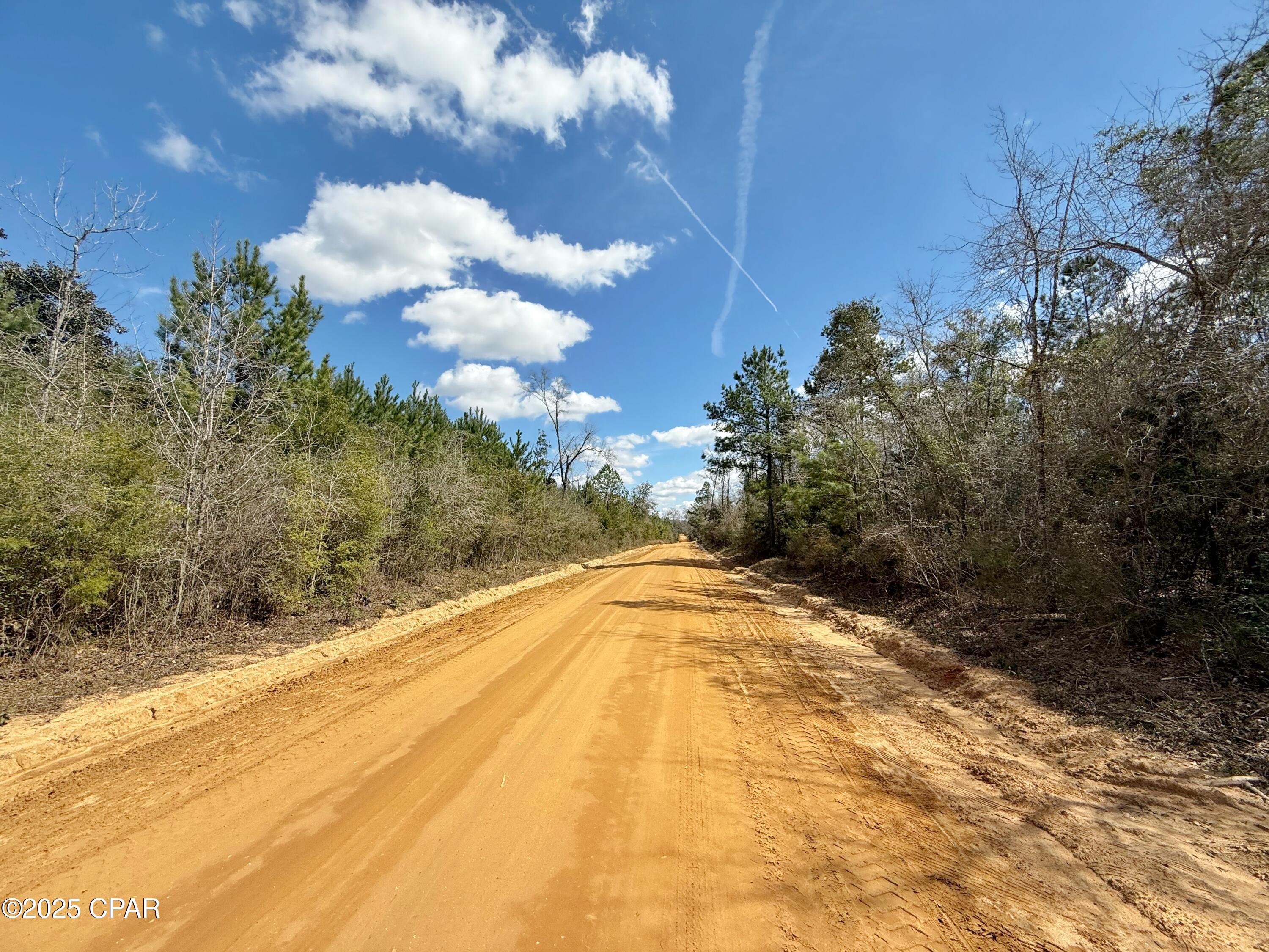 0 Lovewood Road Marianna, FL 32446 - Photo 2 of 12
